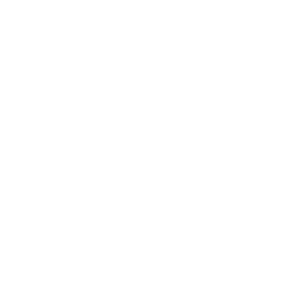 Cicardo Development